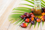 Palm Oil - Image 2
