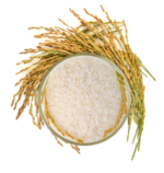 Basmati Rice