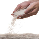 Jasmine Rice