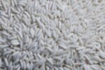 Sticky Rice - Image 2
