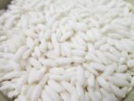 Sticky Rice - Image 3